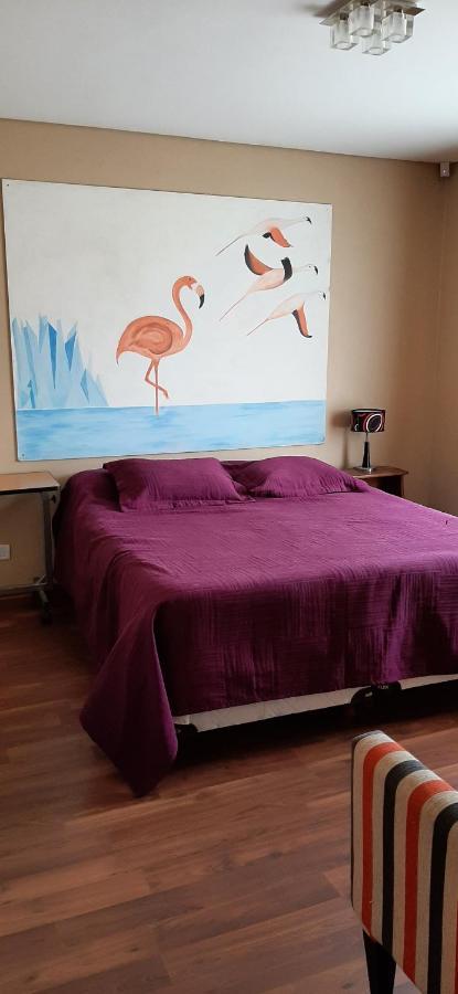 Shotel Calafate Ngoại thất bức ảnh